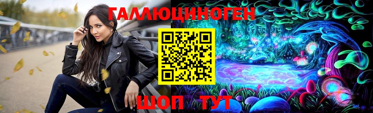 где купить наркоту  Псилоцибиновые грибы Psilocybe  Вход с VPN  Камышлов 